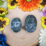 Druzy Moss Agate Palms - You Choose