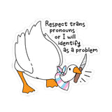 Respect Trans Pronouns goose Sticker | Kiss-Cut Sticker, Pronoun Advocacy