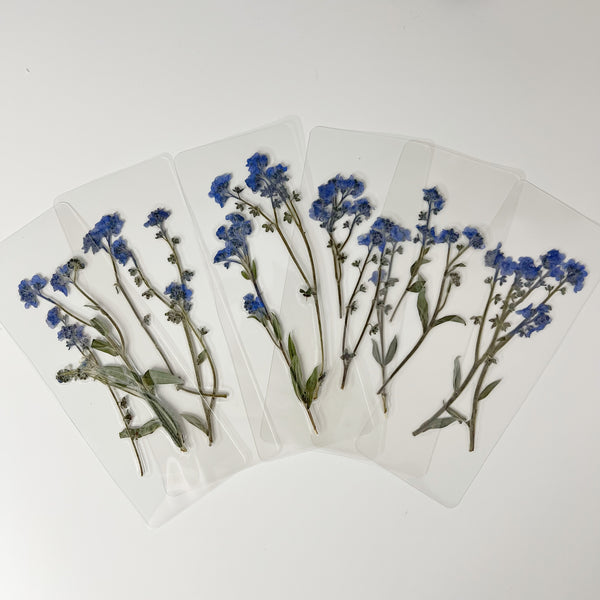Real Pressed Forget Me Not Bookmark