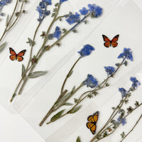 Real Pressed Forget Me Not Bookmark with Monarch Butterfly Paper Speciman