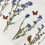 Real Pressed Forget Me Not Bookmark with Monarch Butterfly Paper Speciman