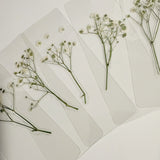 WHOLESALE Real Pressed Baby’s Breath Bookmark
