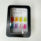 Rainbow Gummy Bear Fridge Magnets, Kawaii Magnets, Refrigerator Magnets, Magnet Gift, Set of 8