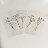 WHOLESALE Real Pressed Baby’s Breath Bookmark